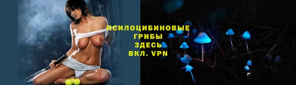 apvp Зеленодольск