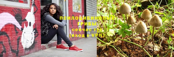 apvp Зеленодольск