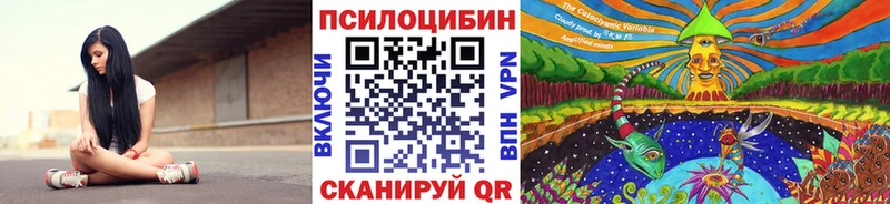 Псилоцибиновые грибы Cubensis Жердевка
