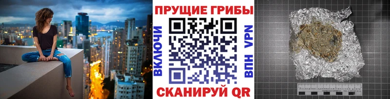 Купить где Жердевка Псилоцибиновые грибы прущие грибы